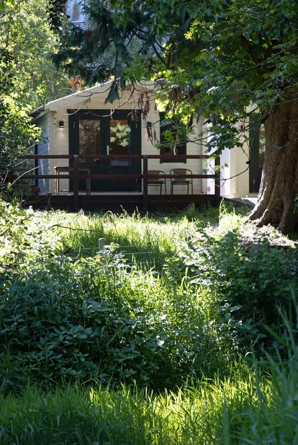 Log cabin tucked among the trees and long grass in the grounds at Dunmore House