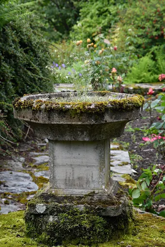 A weathered stone garden feature surrounded by autumn planting