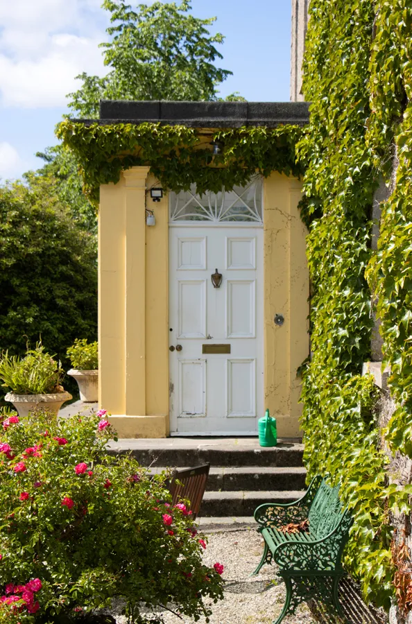 The yellow-framed Georgian entrance door at Dunmore House, framed by ivy and roses